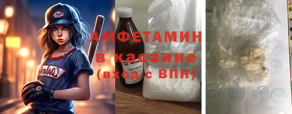 дурь Ельня