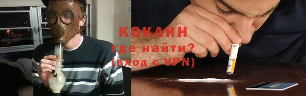 гашик Россошь