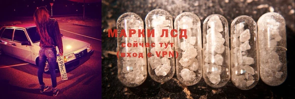 гашик Россошь