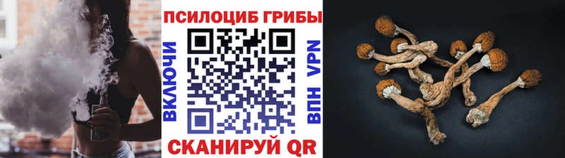 ОМГ ОМГ вход  Нижняя Салда  Галлюциногенные грибы прущие грибы 